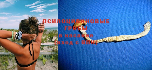 первитин Белокуриха