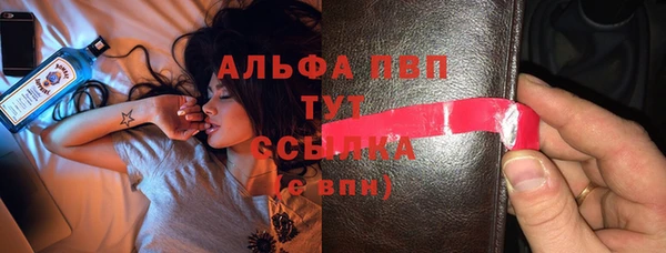 прущие грибы Белоозёрский