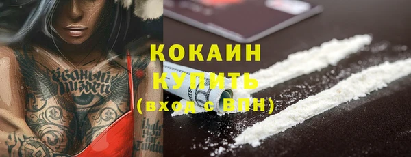 прущие грибы Белоозёрский
